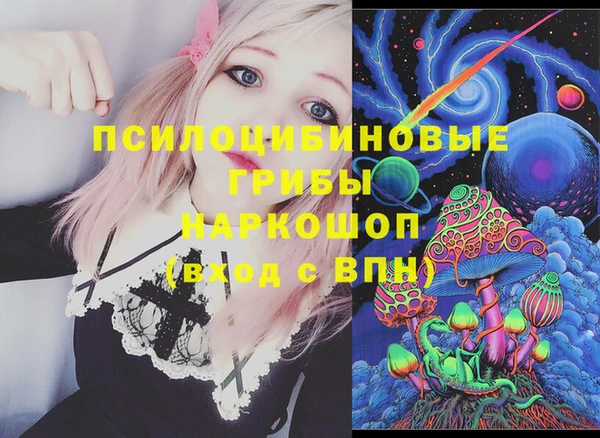 кокс Алексин