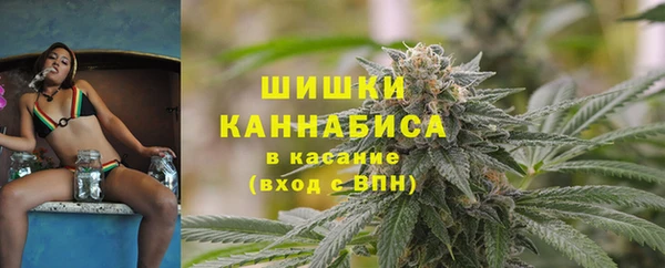 соль ск Алзамай