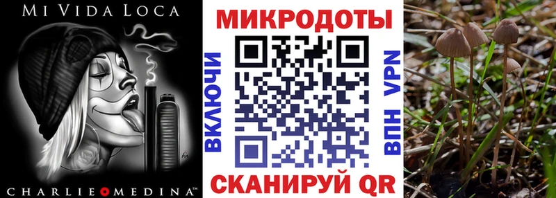 это какой сайт  Карабаново  Псилоцибиновые грибы мухоморы  цена наркотик 