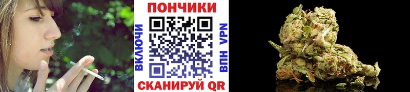 Канабис конопля  маркетплейс официальный сайт  Карабаново 